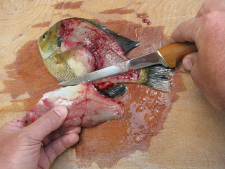 Cleaning Fish