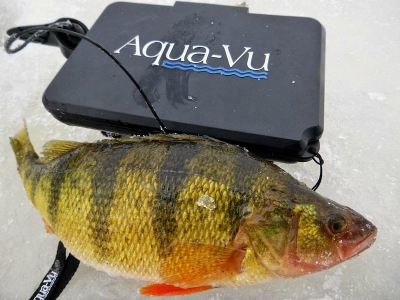 Ice Fishermen: Is an Underwater Camera Right for