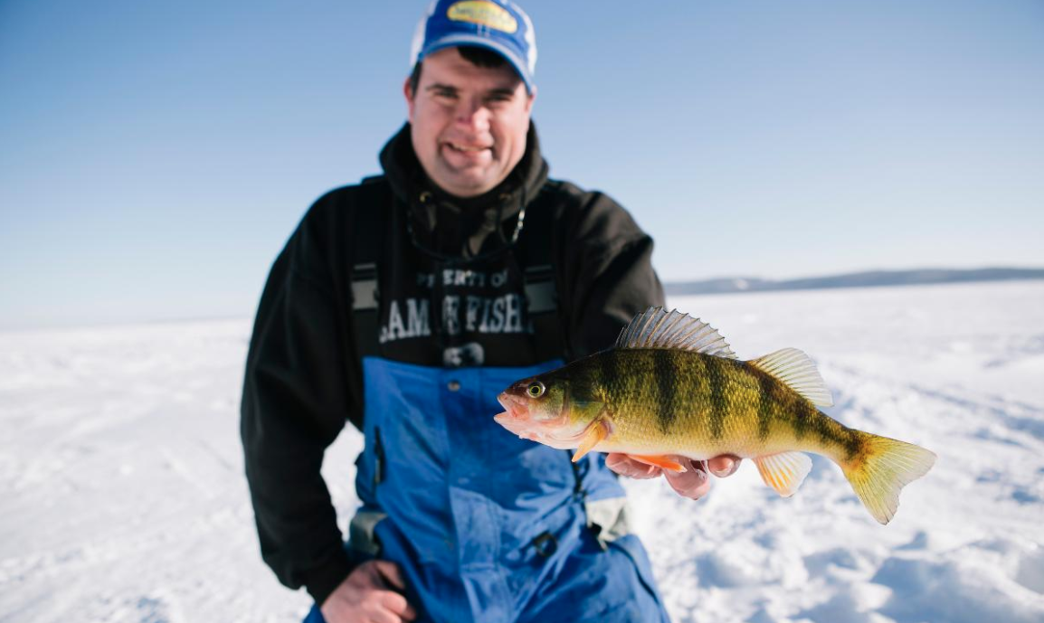 Jackpot!: Ice Fishing for Yellow Perch - Harvesting Nature