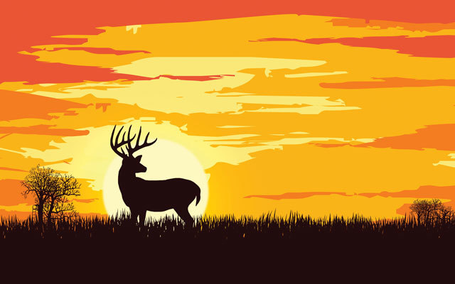 Deer hunting in warm weather