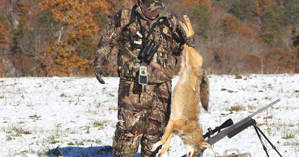 LongRange Shooting for Coyotes Grand View Outdoors