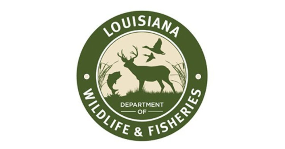 Louisiana's Free Fishing Weekend June 78 Grand View Outdoors