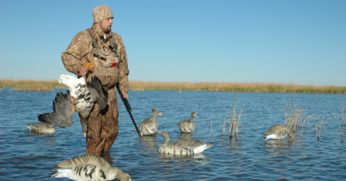 Snow Goose and Speck Hunting