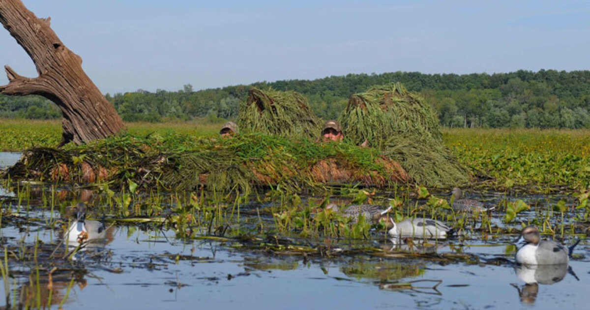 Loading  Duck hunting boat, Duck hunting blinds, Duck hunting