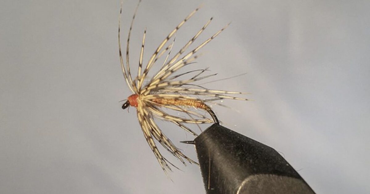 Fly tying - lethal trout patterns - The Fishing Website