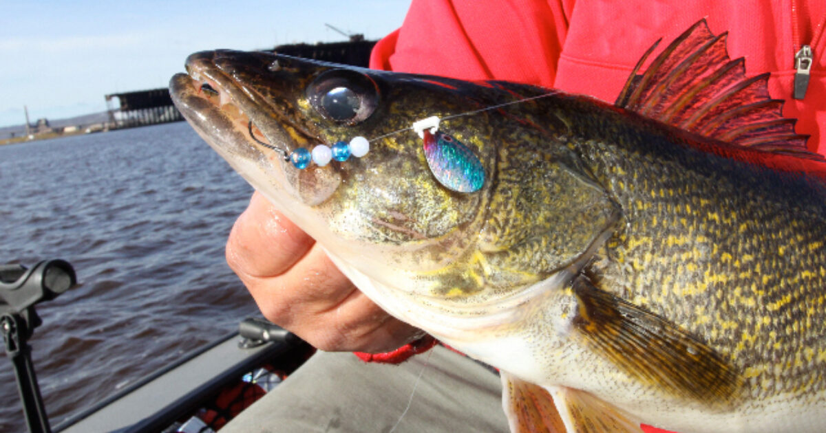 How to use Trolling Lures – Scent Blazer