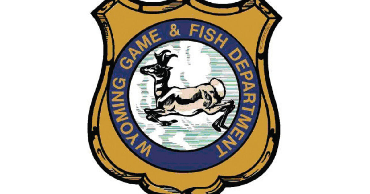 wyoming game and fish hunter safety course