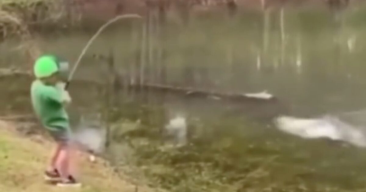 Video: Child catches large largemouth bass from …