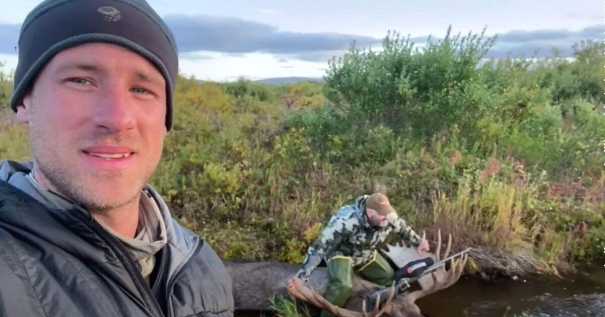 Video: Gun Hunter Kills Giant Alaska/Yukon Bull Moose | Flipboard