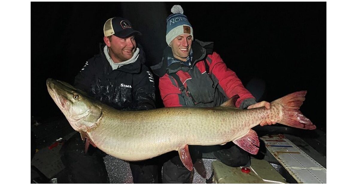 Probable New State Record Muskie Caught in…