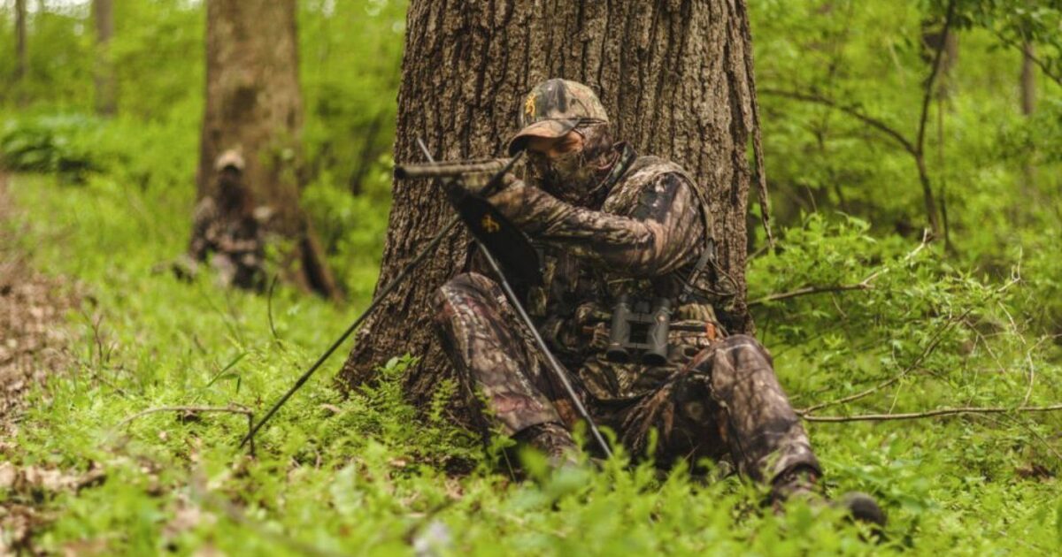 Hiding in Plain Sight of Wild Turkeys | Grand View Outdoors