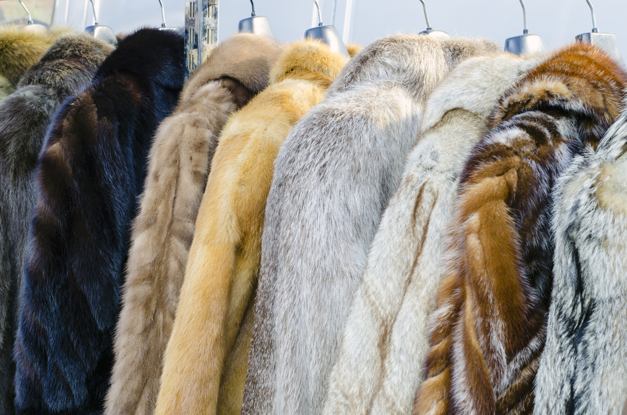 Video: Exposing fake news about fake fur | Grand View Outdoors