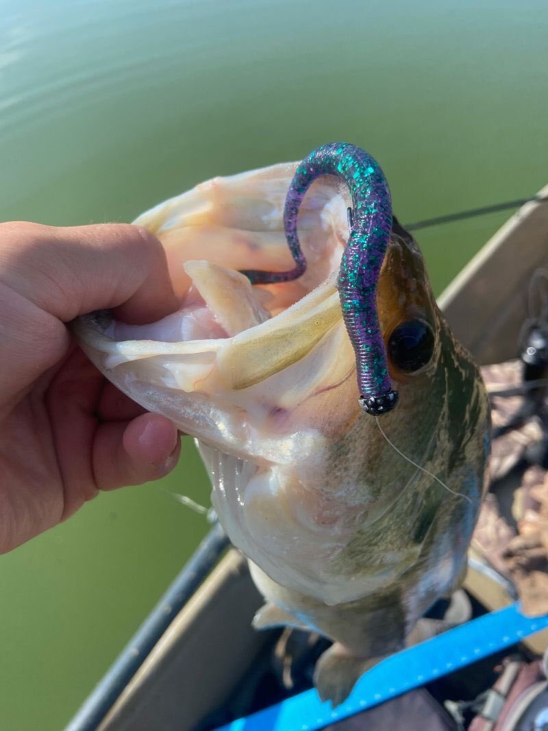 Culprit Plastic Worms.. - Fishing Tackle - Bass Fishing Forums